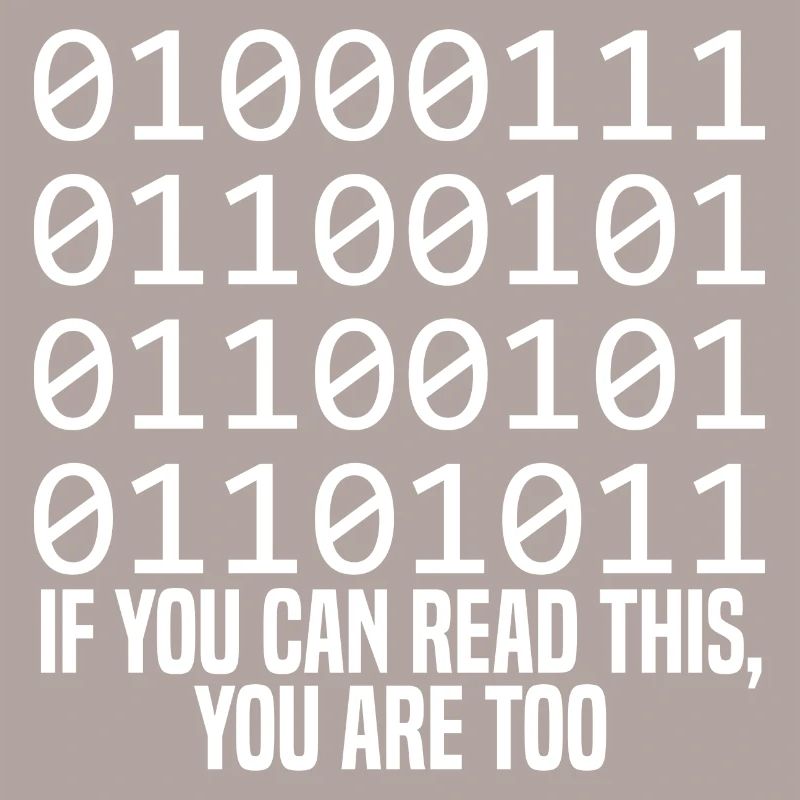 Programmer Coder Software Developer