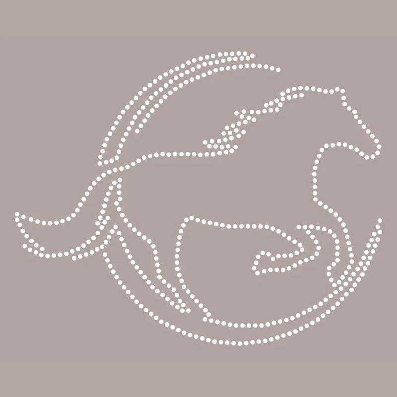Strass de cheval