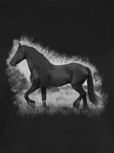 Cheval
