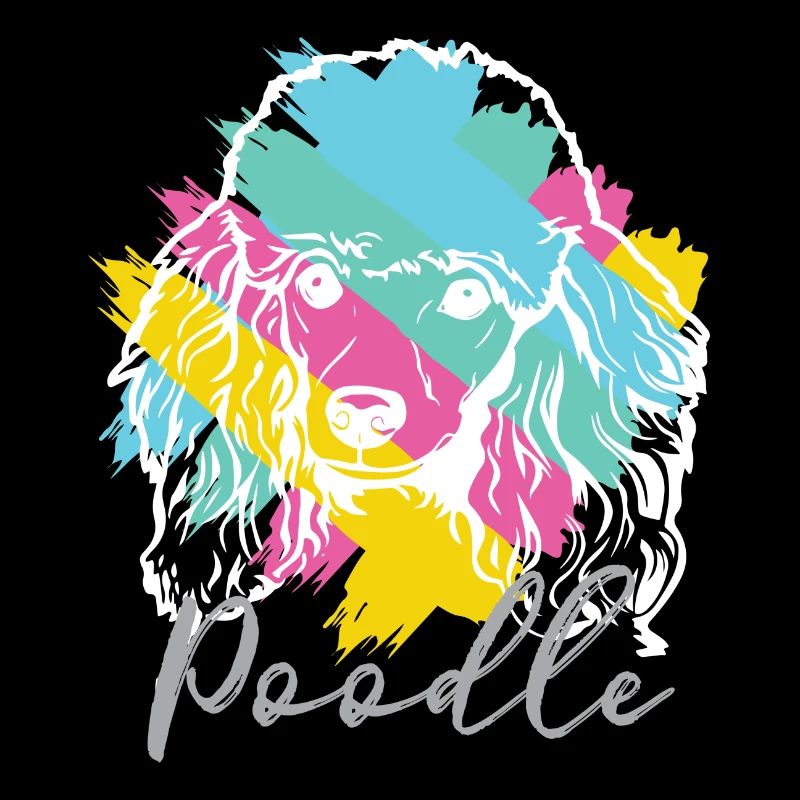 Caniche - caniche