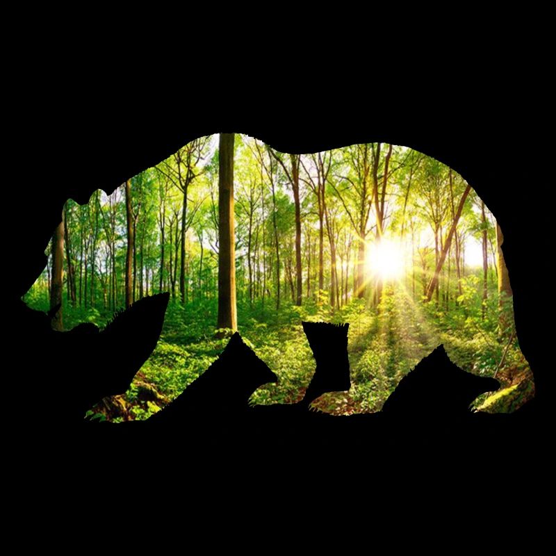Environnement de l’ours