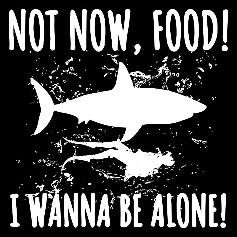 Requin Shark Fin Requin Blanc Requin Baleine Requin Requin
