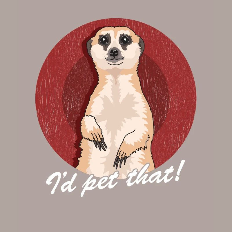 Suricate drôle suricate