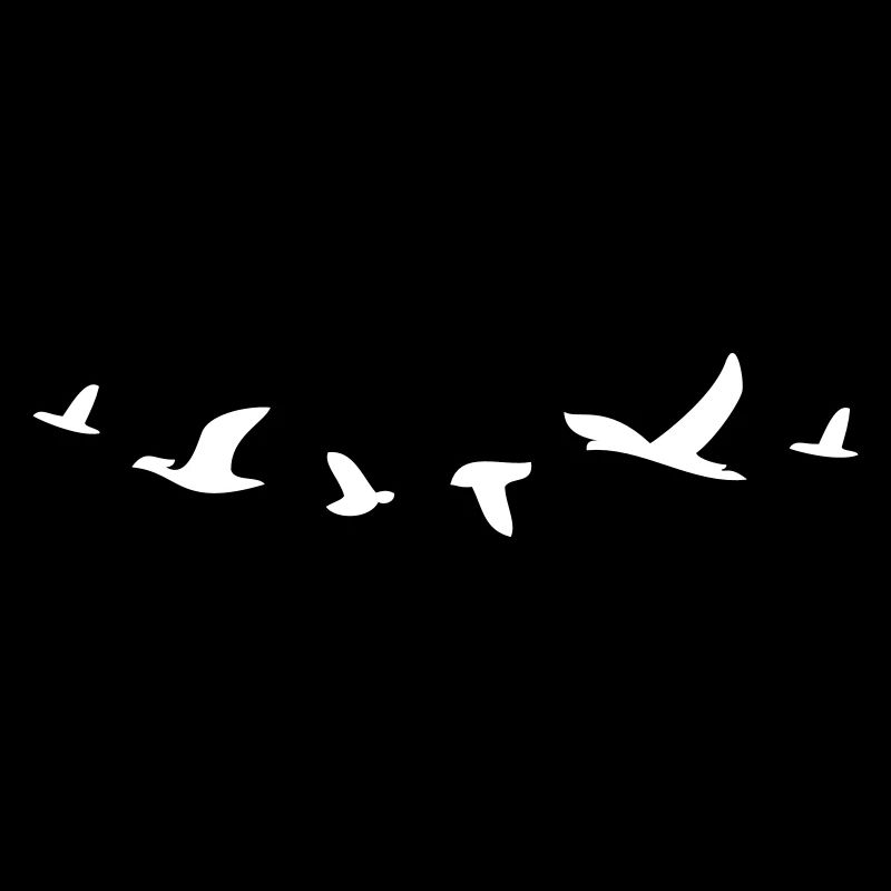 birds