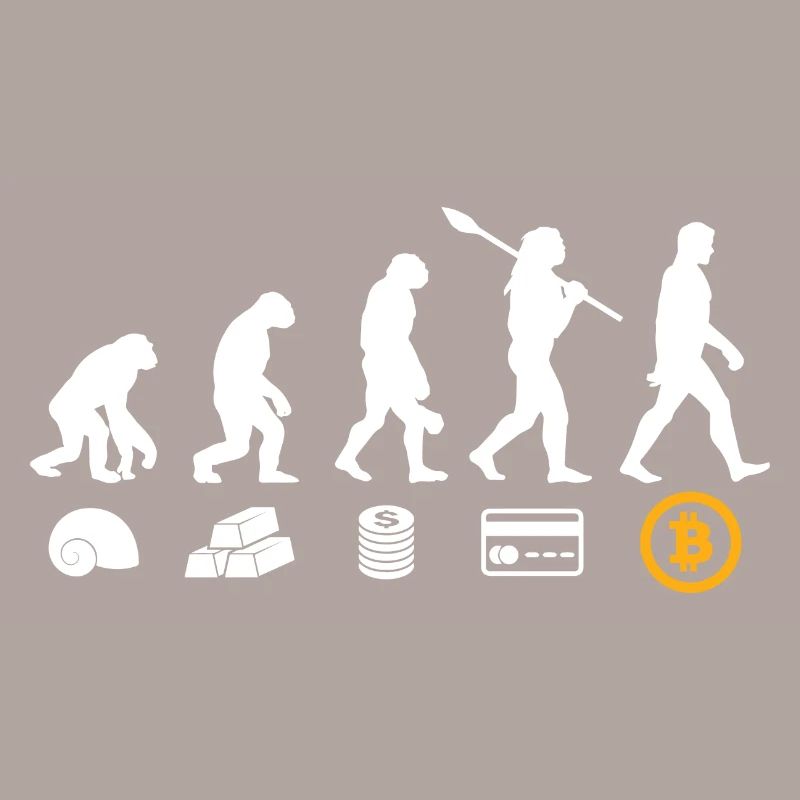 Bitcoin Geld Evolution