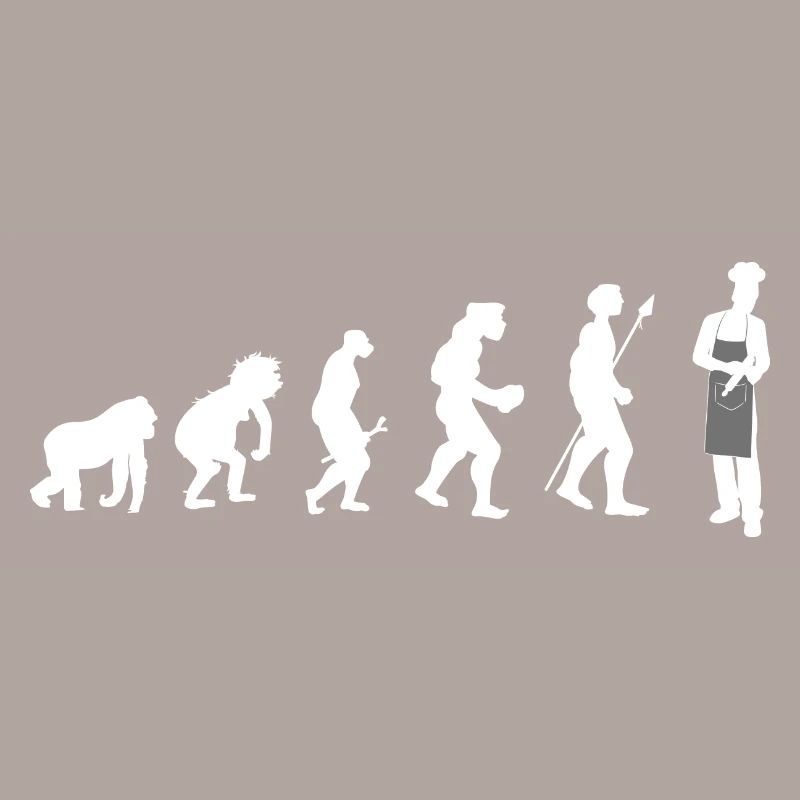KochKoch Evolution