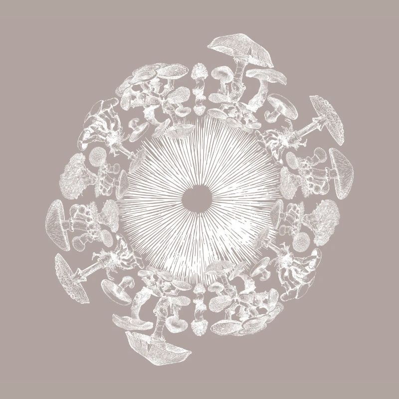 Champignon Iris Mycologie Spore Print