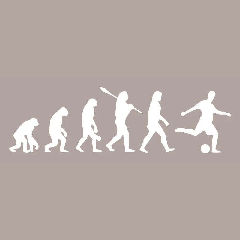 Fussball Evolution