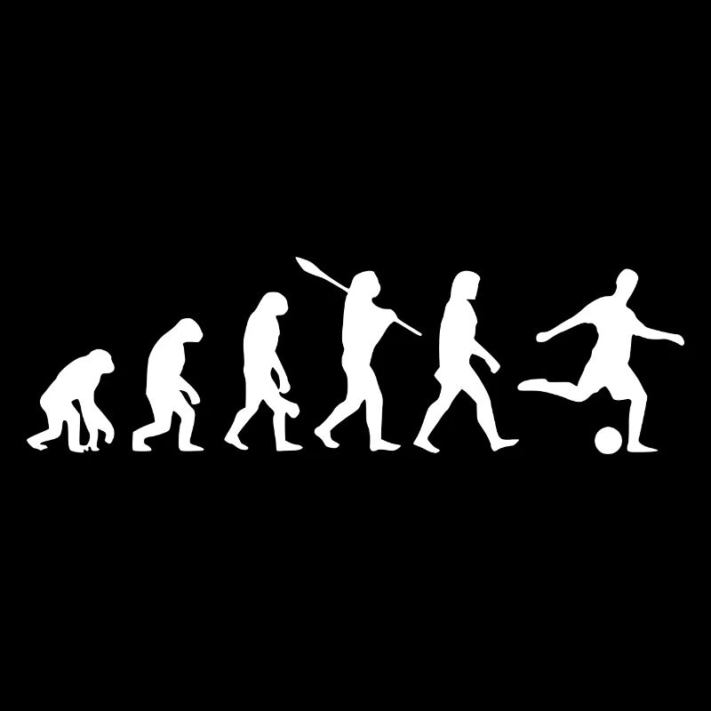 Fussball Evolution