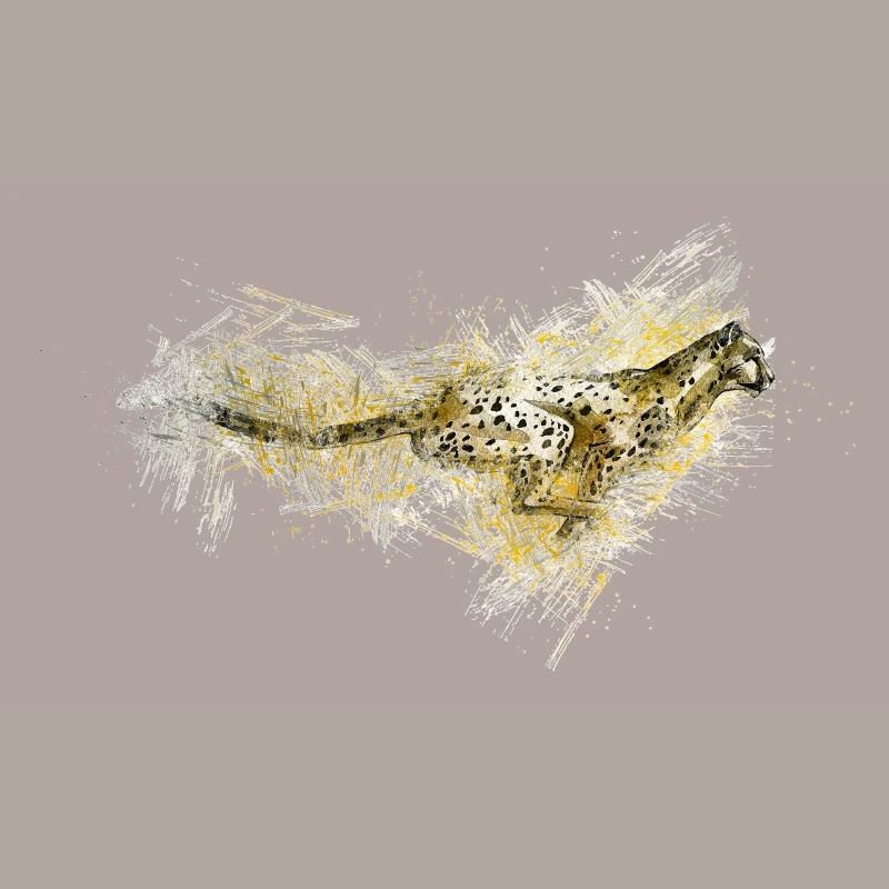 Gepard