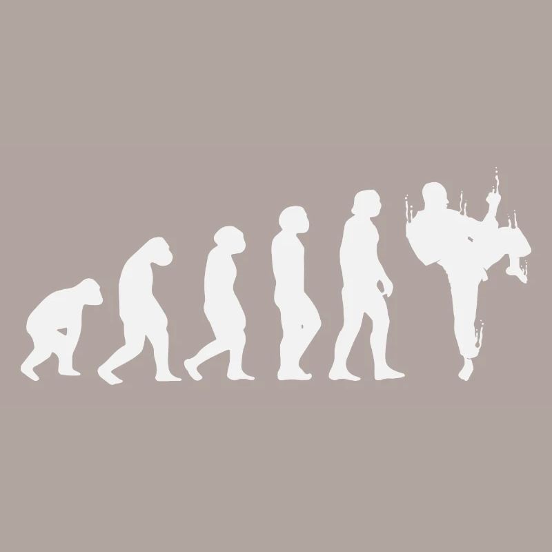 Évolution du karaté