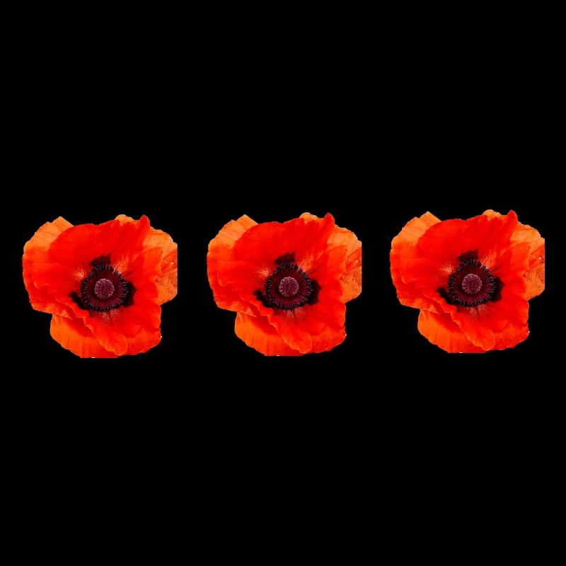 poppy