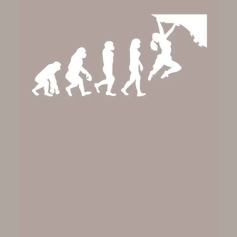 Bouldering Evolution Climbing Wall Climbing Boulder