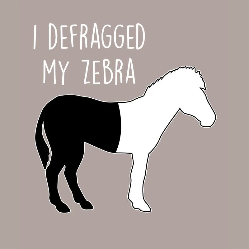 I defragged my Zebra Coder Informatiker Hacker