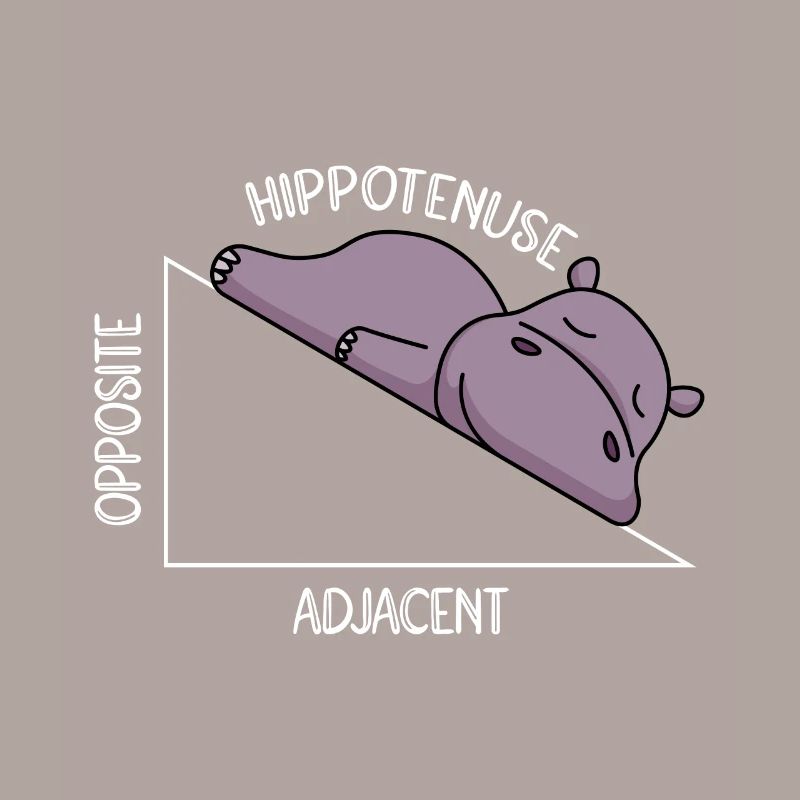 Algebra Math Student Math Teacher Hippotenuse