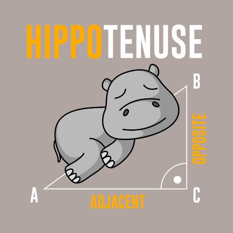 Nieldpferd Hippo Hippotenuse Algebra Math Teacher