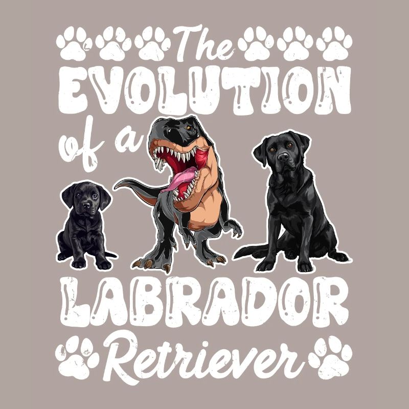 Propriétaires de chiens L’ÉVOLUTION D’UN LABRADOR