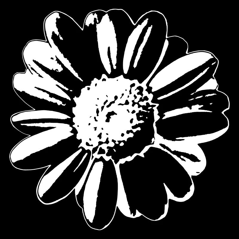 Flower Daisy