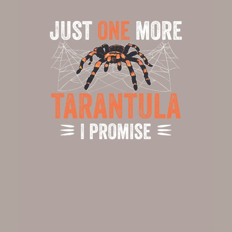 Spiders Spider web Tarantulas Tarantula