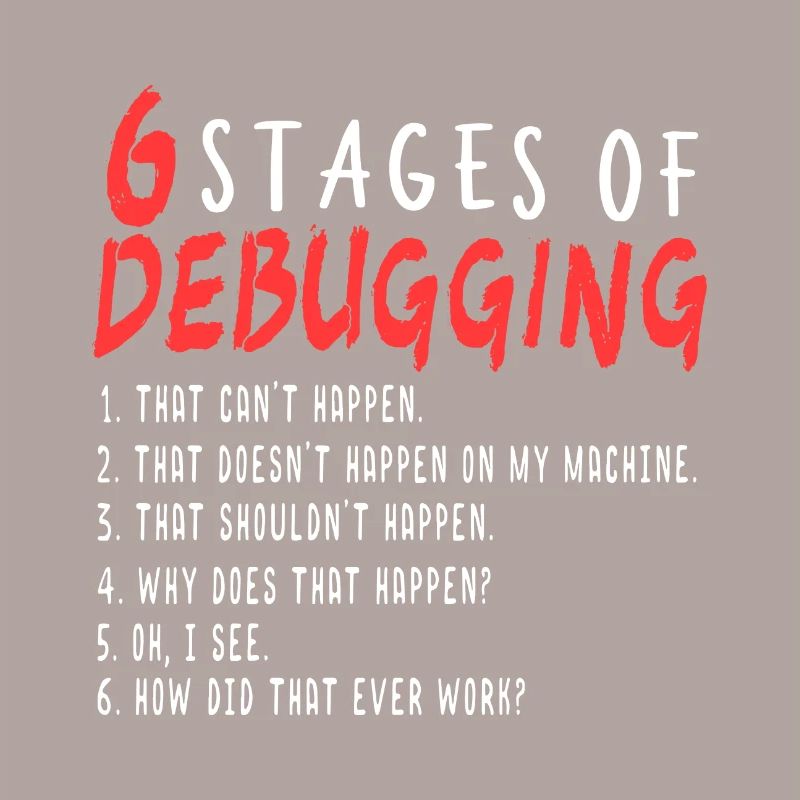 Debugging Definition Programmer I Troubleshooting
