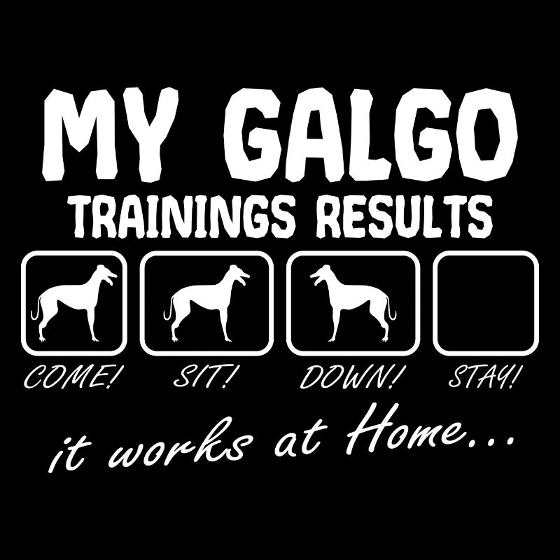 Galgo Espanol Chien Greyhound Disant Drôle