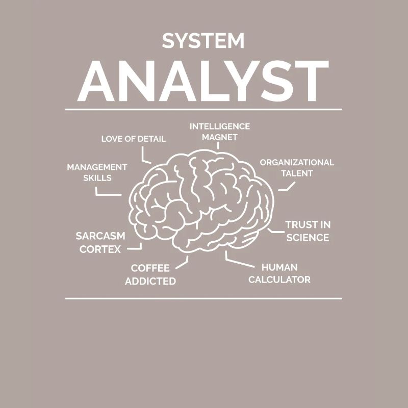 Systems analyst