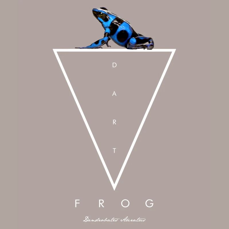 Blauer & Schwarzer Pfeilgiftfrosch Dendrobates auratus