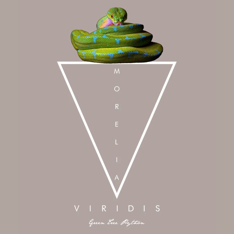 Arbre vert Python Géométrique moderne