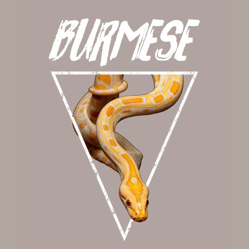 Burmese Python Snake Owner