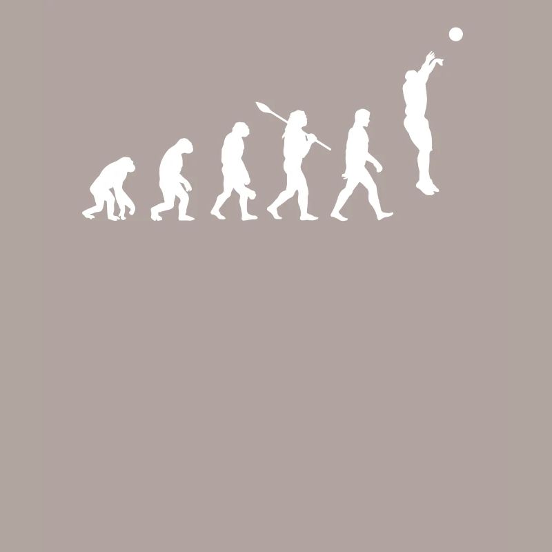 Evolution du basket