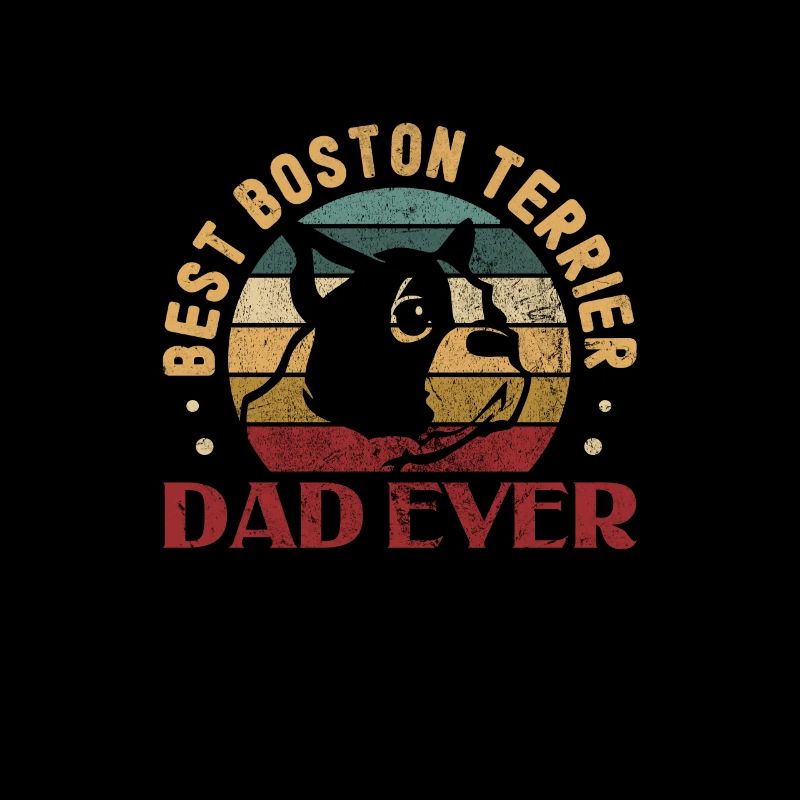 Boston Terrier Dad