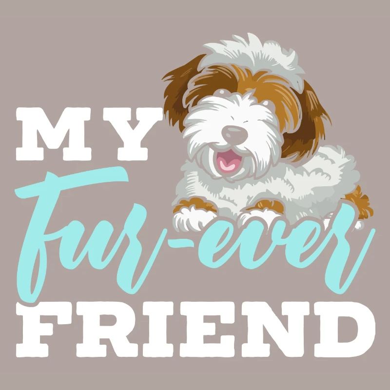 Chien Sheepadoodle mignon