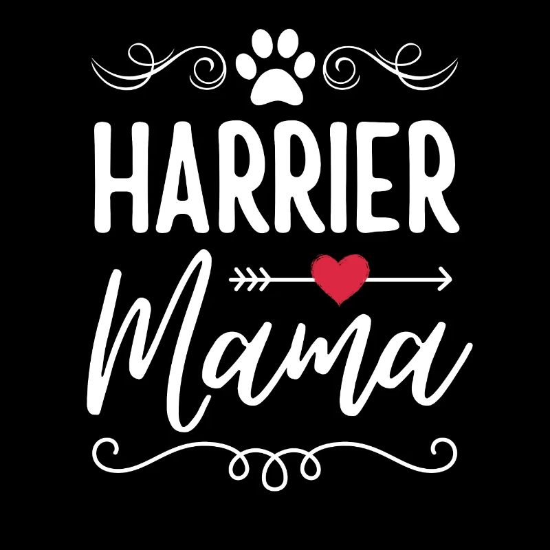 Harrier Mama Harrier Liebhaber