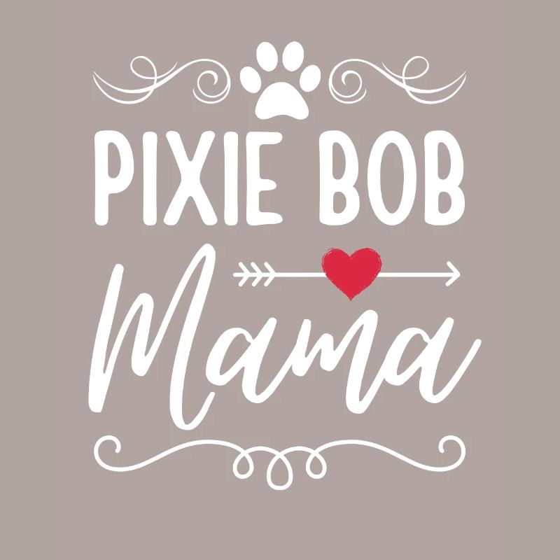 Pixie Bob Cat Mama Pixie Bob Mom
