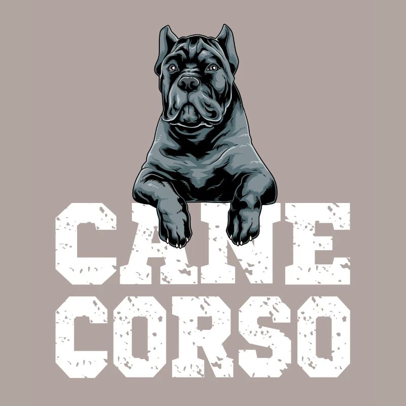 Cane Corso pour un propriétaire de Cane Corso Cane