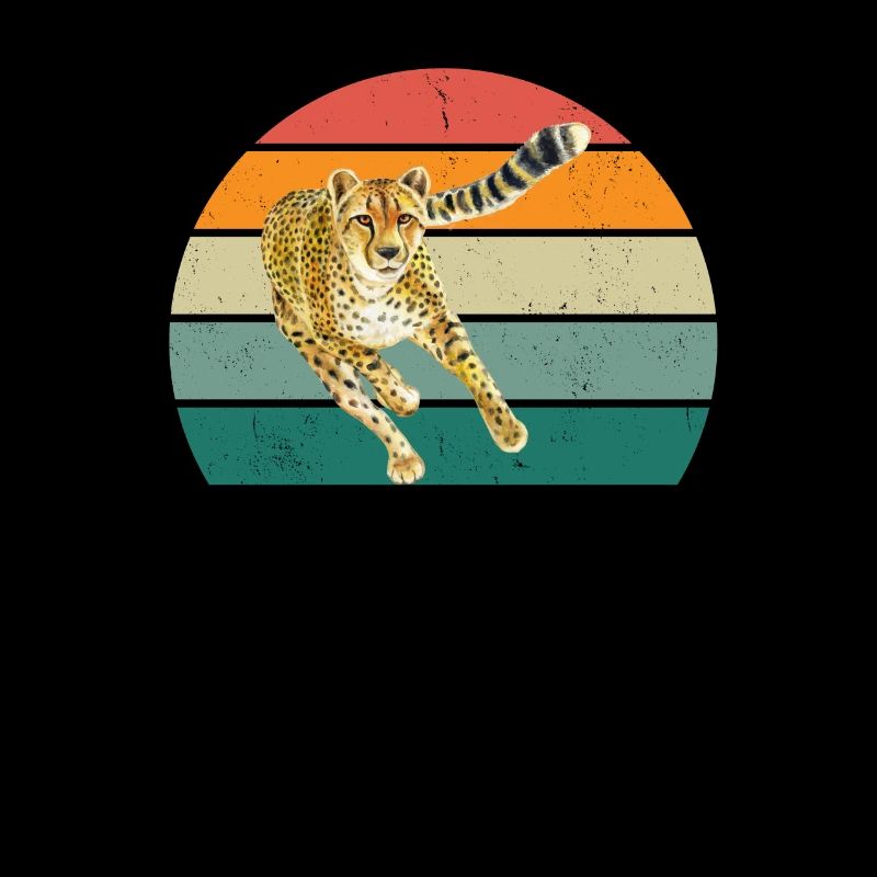 big cats speed fast hunter cheetah