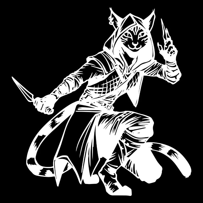 Tabaxi Rogue White