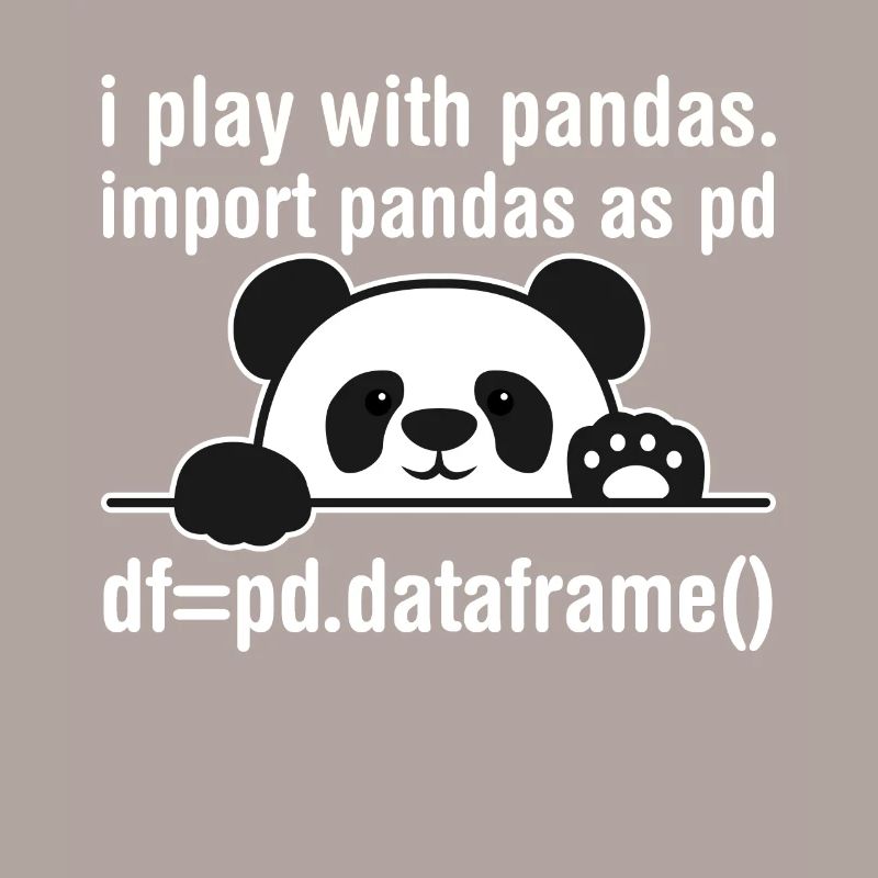 Python Programmierer IT Nerd Panda Programmierung