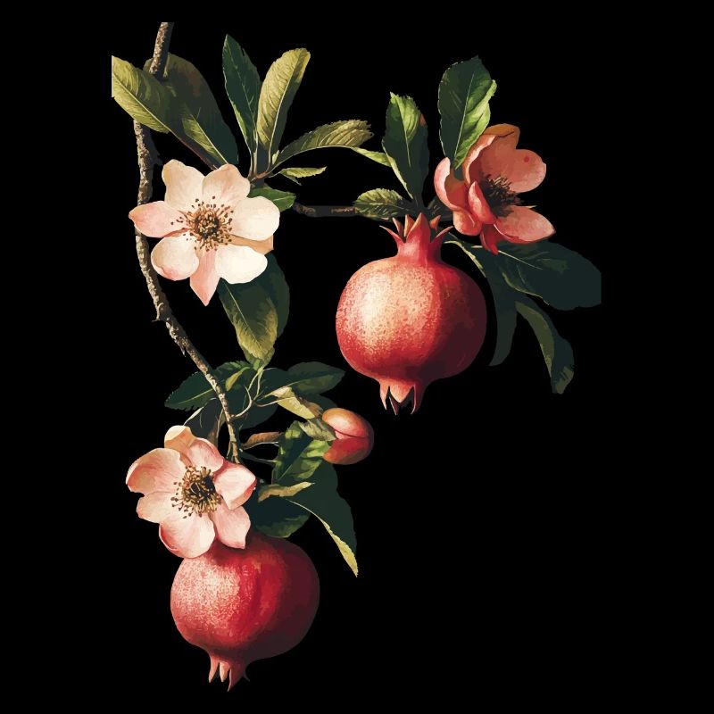 Granatapfel