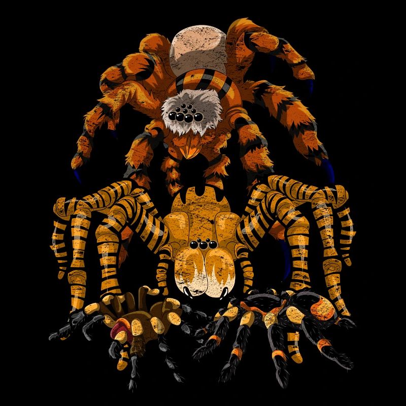 Tarantel Arachnide Vogelspinne Geschenk Spinne