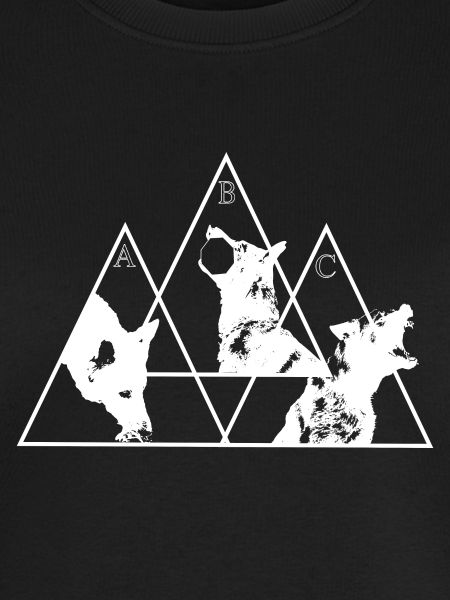 Triangle IGP