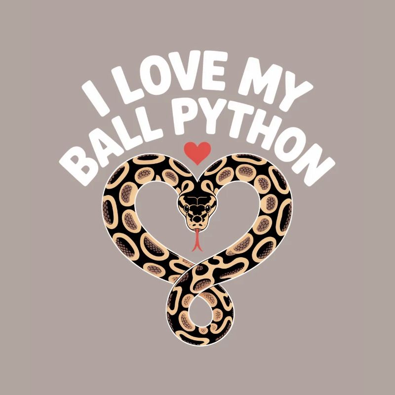 J’adore mon python royal ! Roi python