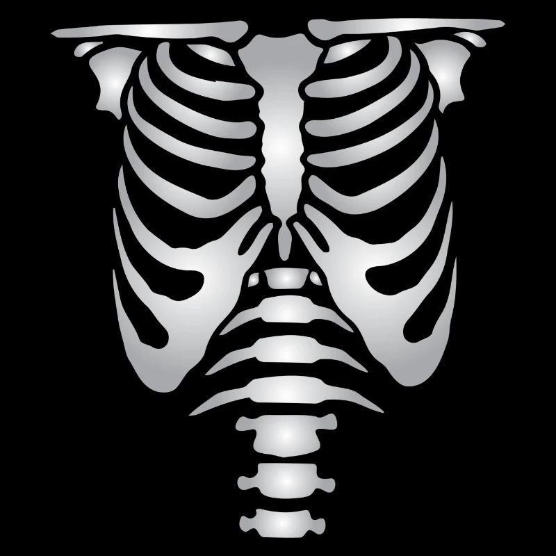 Human skeleton bones torso