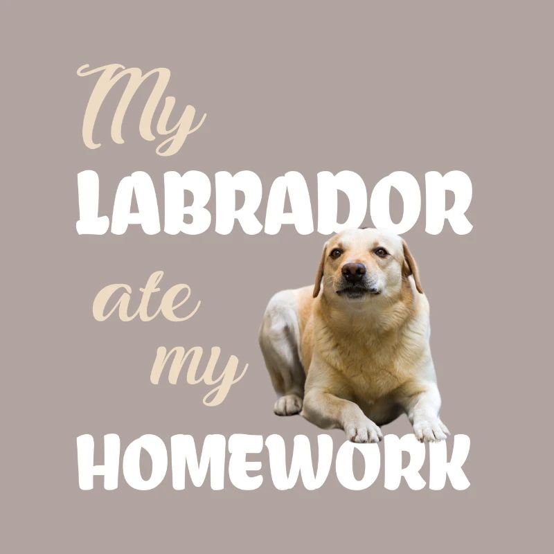 Devoirs du Labrador