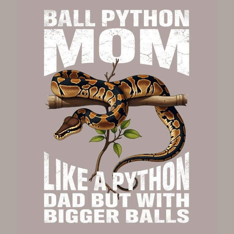 Königspython Mom Mama Schlangen Terrarium Python
