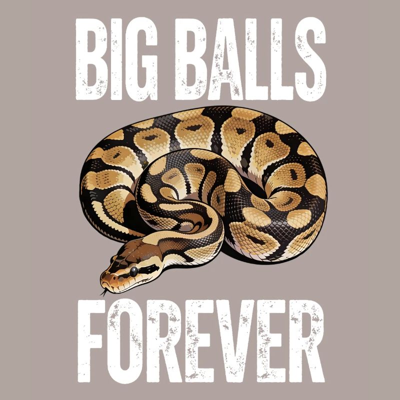 Python roi Serpents Amateurs de terrarium Python