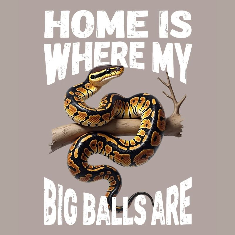 Python roi Serpents Amateurs de terrarium Python