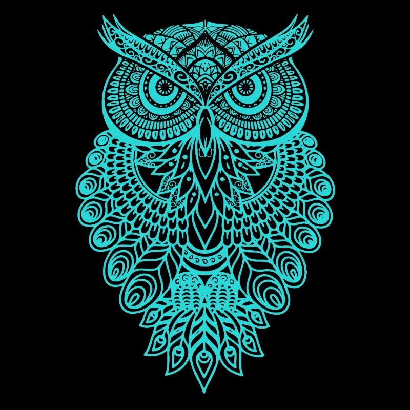 Eule Owl Grafik Graphic Kunst Geschenk Mandala