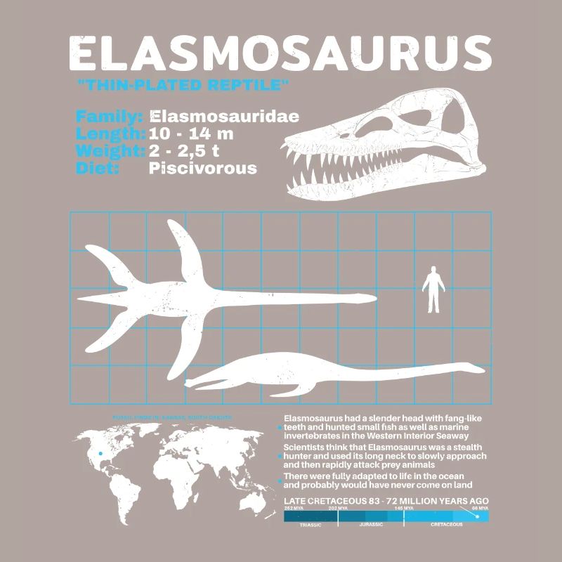 Fiche d’information sur Elasmosaurus
