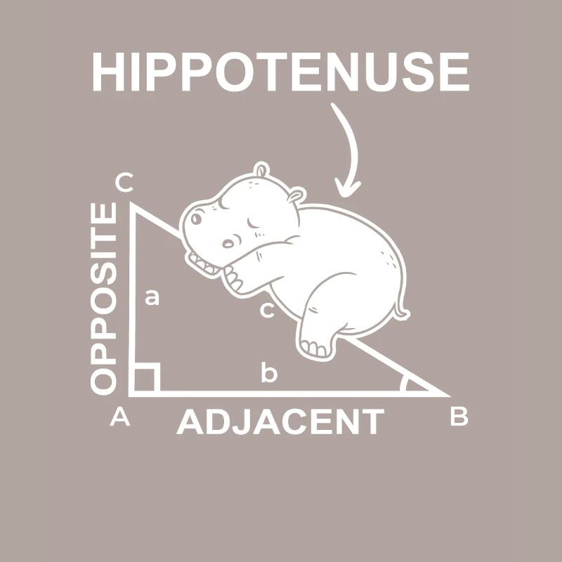 Hippotenuse Math Hippo Hippo Funny Pun